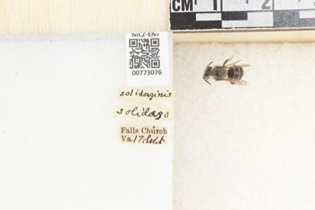 Media type: image;   Entomology 773076 Aspect: Labels